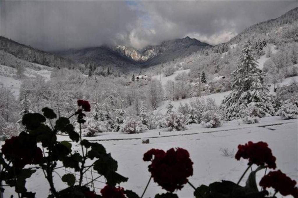 Pensiunea Aurora Izvorul Muntelui Bicaz Exterior foto