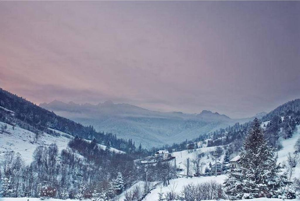 Pensiunea Aurora Izvorul Muntelui Bicaz Exterior foto