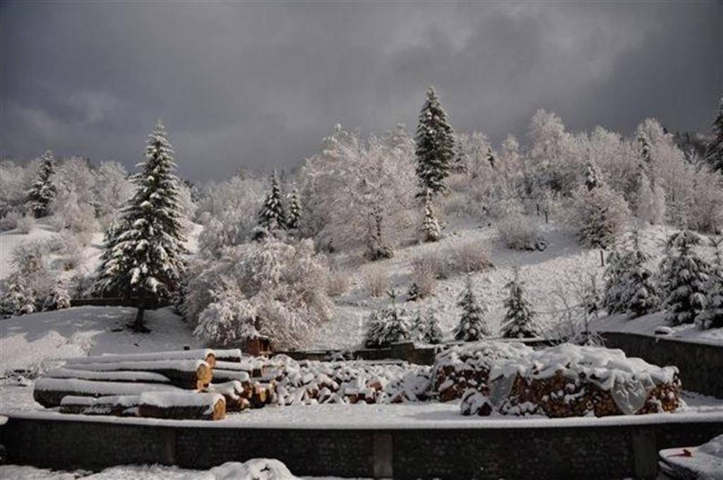 Pensiunea Aurora Izvorul Muntelui Bicaz Exterior foto