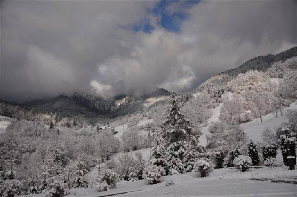 Pensiunea Aurora Izvorul Muntelui Bicaz Exterior foto