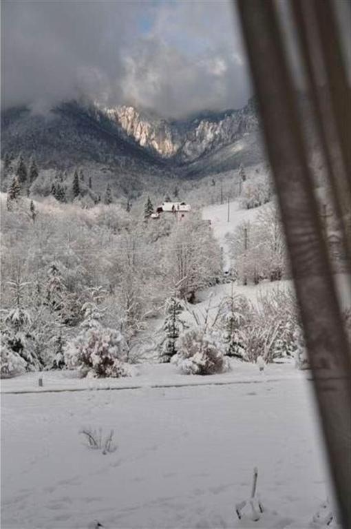 Pensiunea Aurora Izvorul Muntelui Bicaz Exterior foto