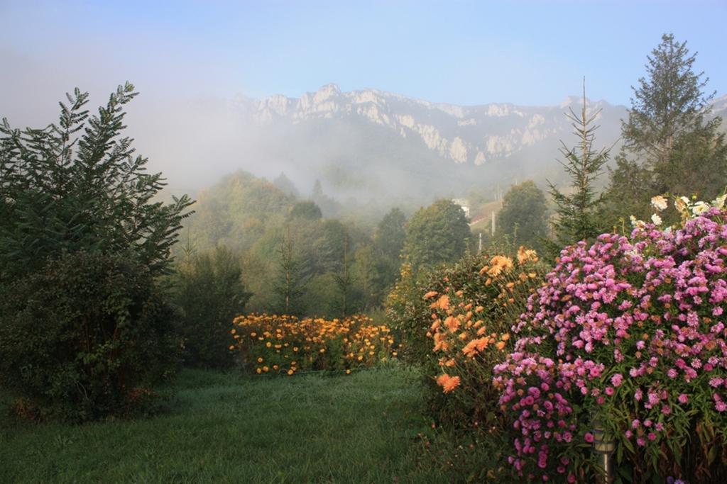 Pensiunea Aurora Izvorul Muntelui Bicaz Exterior foto